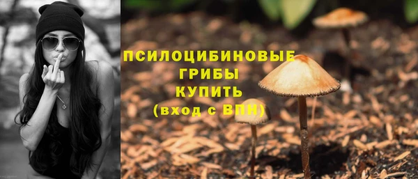 mdpv Алзамай