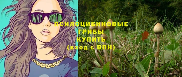гидра Алексин