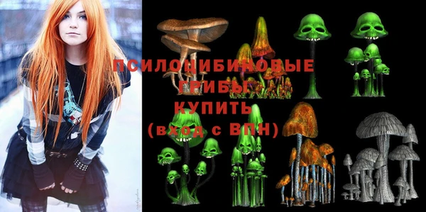 первитин Алексеевка