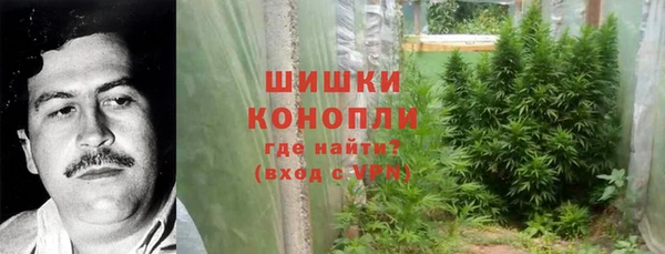 гидра Алексин